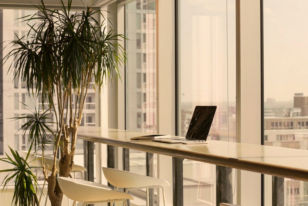 Bureau lumineux et végétalisé avec vue sur la ville